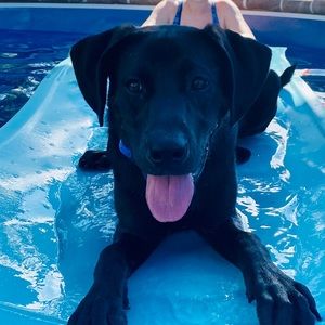 Meet your Posher, Reilly